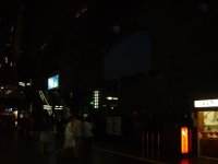 S5003580.JPG